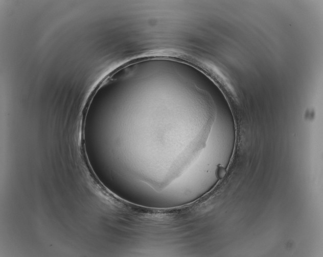 X0000090981276200708161848