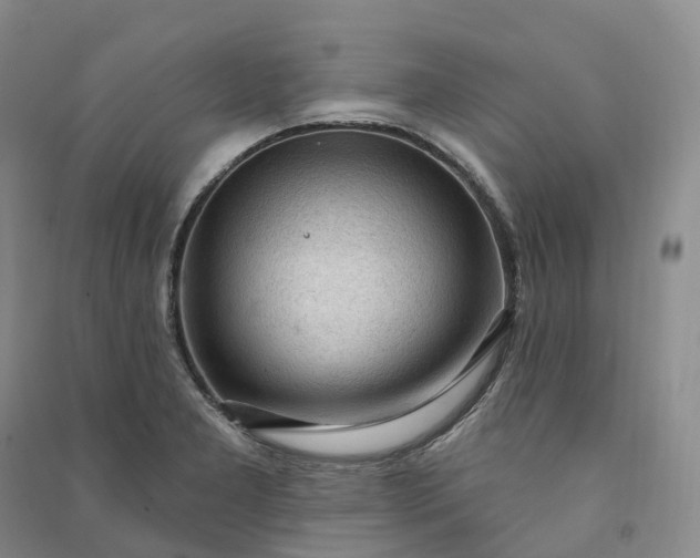 X0000090981277200708161848