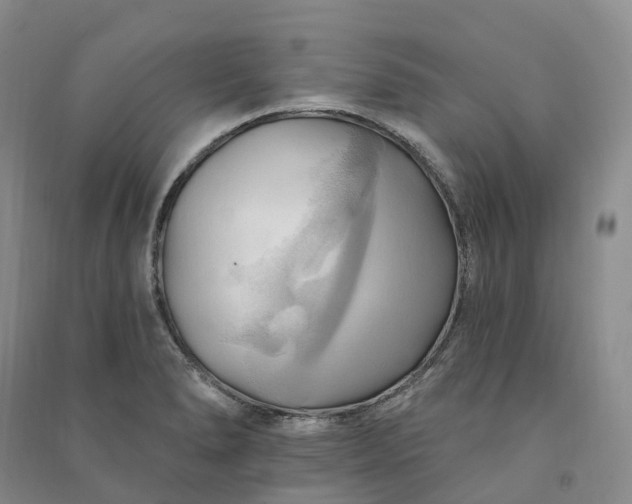X0000090981278200708161848