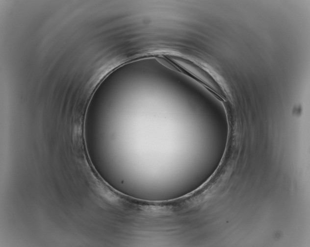 X0000090981281200708161848