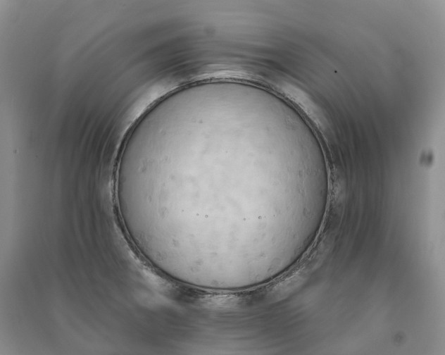 X0000090981282200708161848