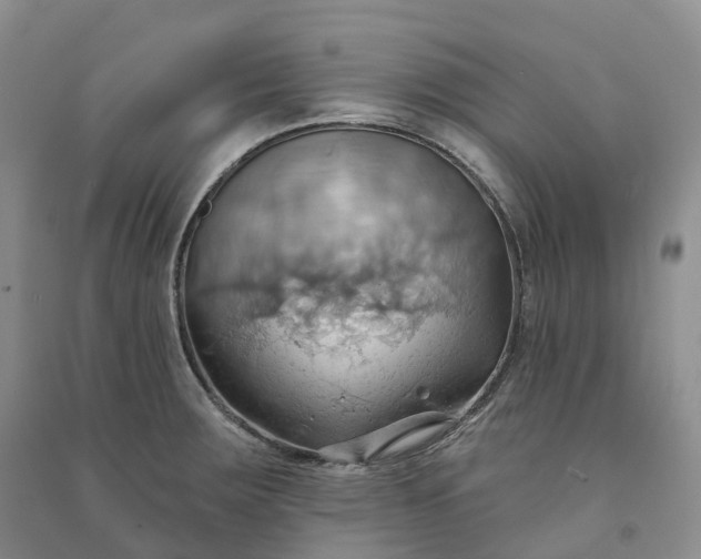 X0000090981283200708161848