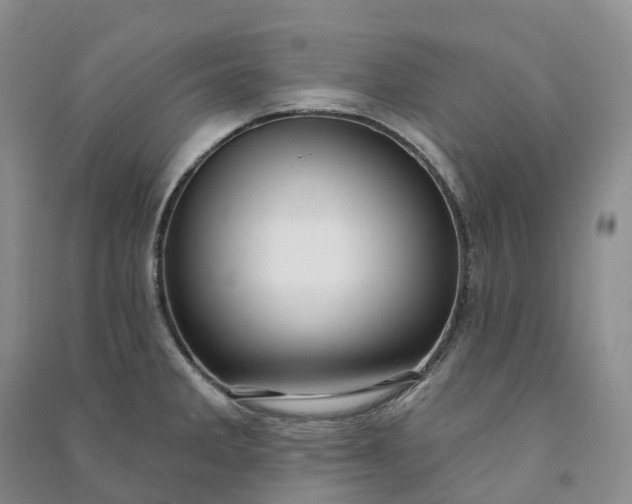X0000090981285200708161848