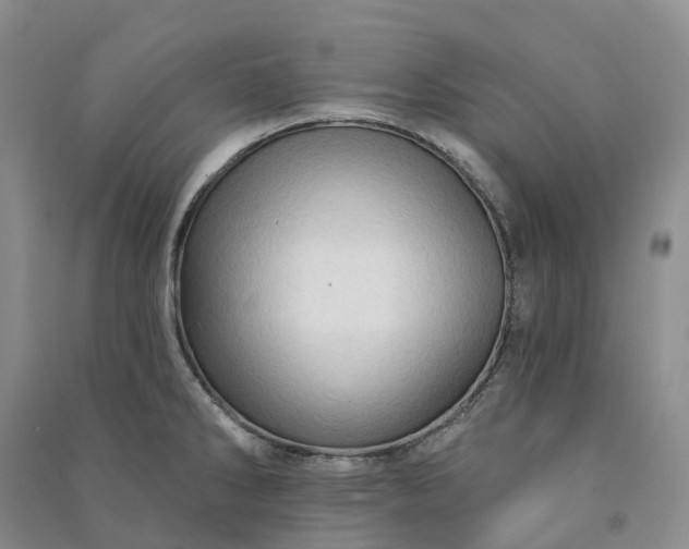 X0000090981286200708161848