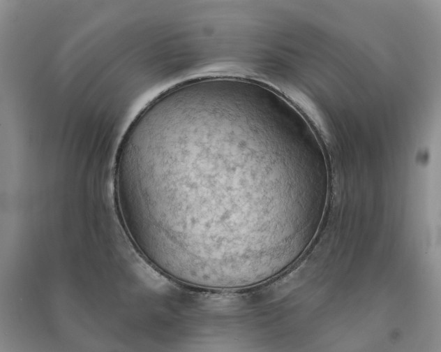 X0000090981288200708161848