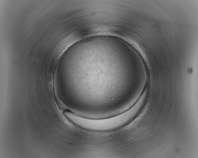 X0000090981289200708161848