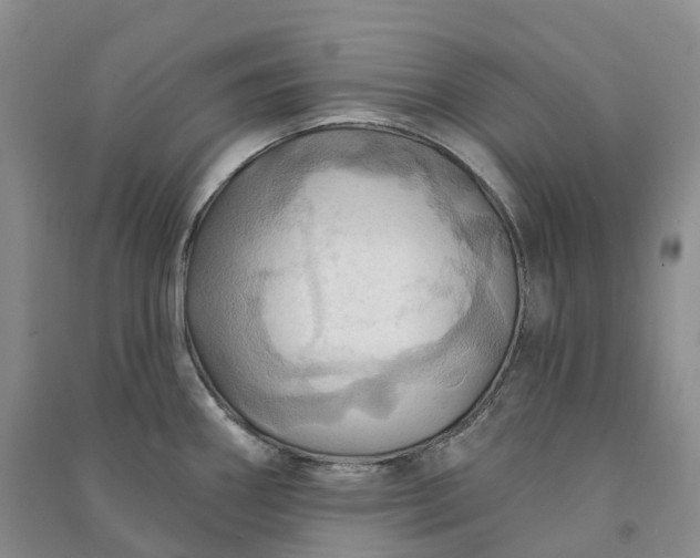 X0000090981290200708161848