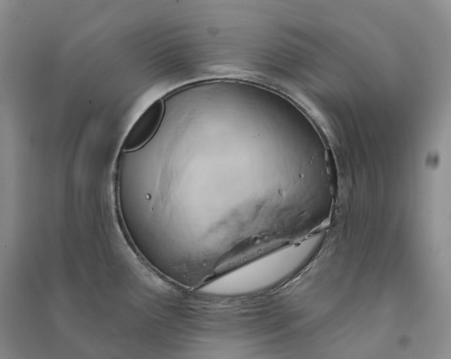 X0000090981291200708161848