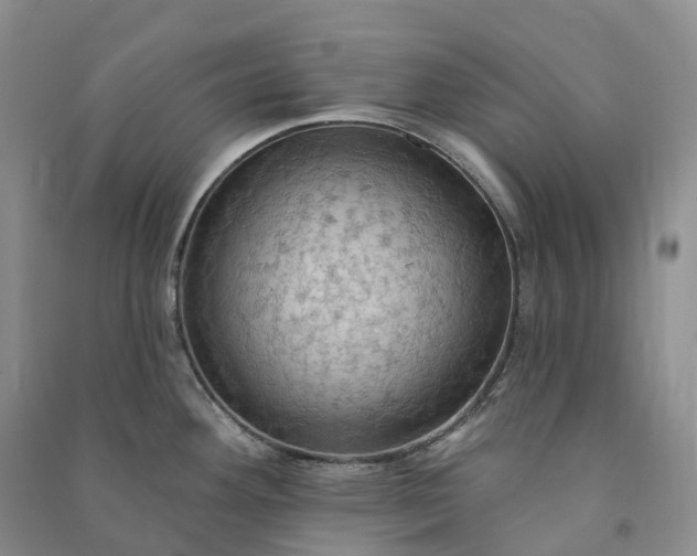X0000090981292200708161848