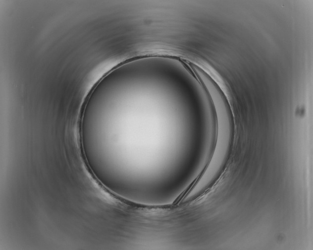 X0000090981293200708161848