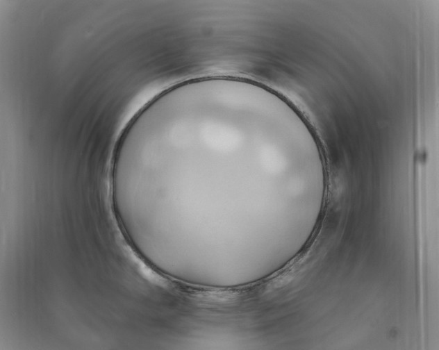 X0000090981294200708161848
