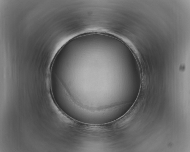 X0000090981295200708161848