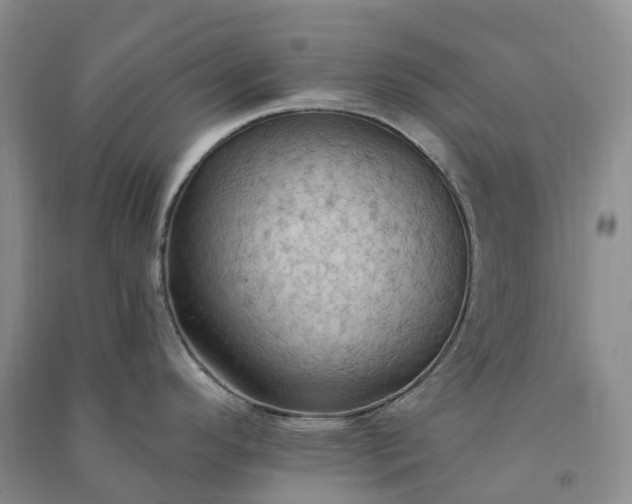 X0000090981296200708161848