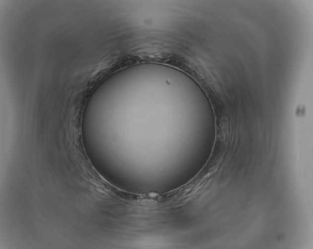 X0000090981297200708161847
