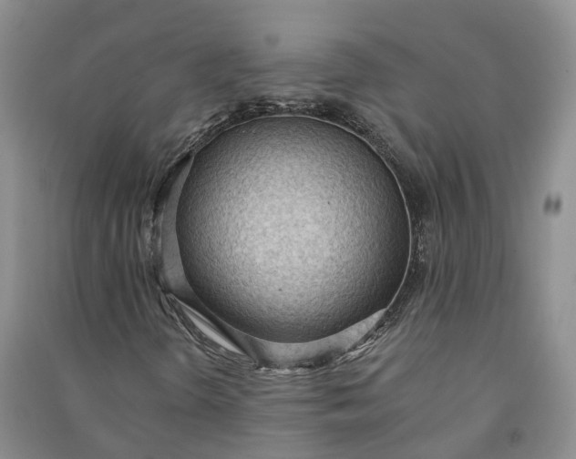 X0000090981298200708161847
