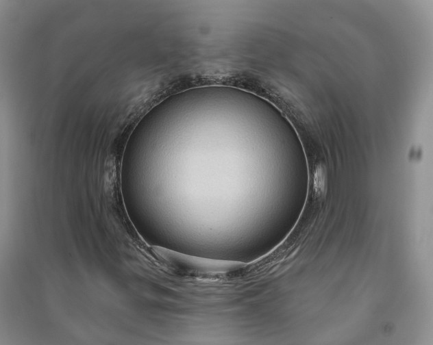 X0000090981299200708161847