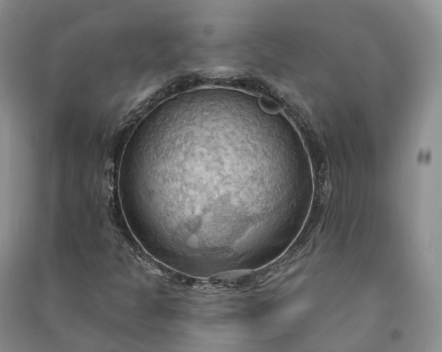 X0000090981301200708161847