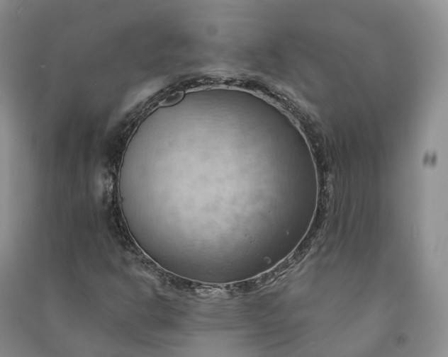 X0000090981302200708161847