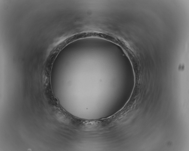 X0000090981303200708161847