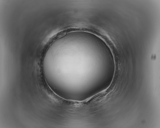 X0000090981304200708161847