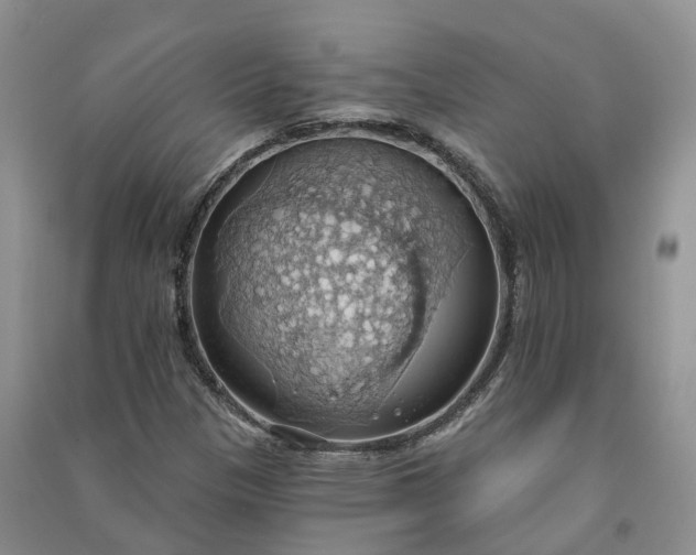 X0000090981305200708161847