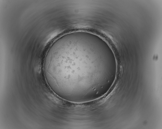 X0000090981306200708161848
