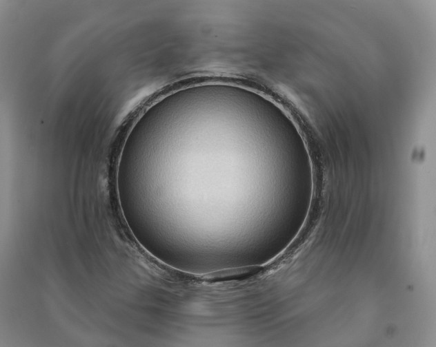 X0000090981307200708161848