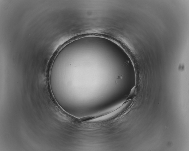 X0000090981308200708161848