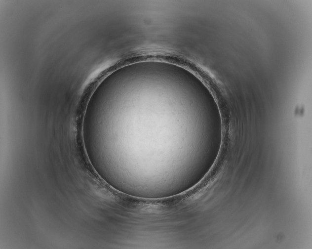 X0000090981309200708161848
