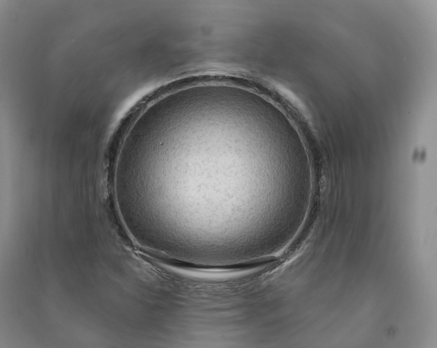 X0000090981310200708161848