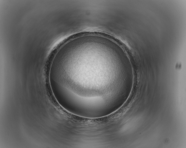 X0000090981311200708161848