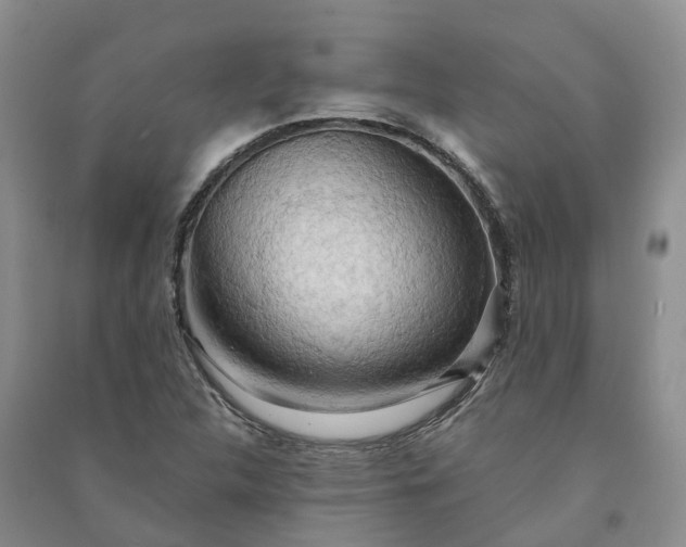 X0000090981312200708161848