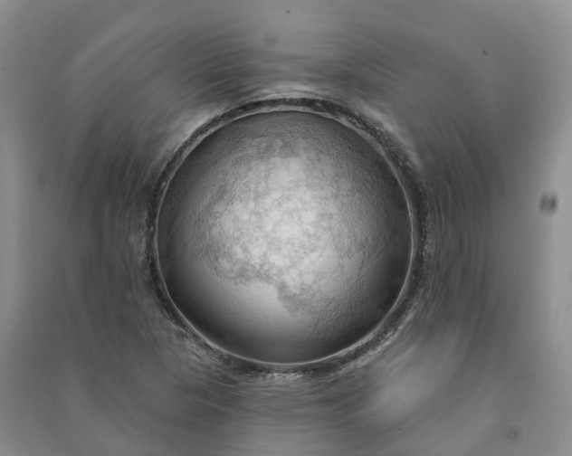 X0000090981313200708161848