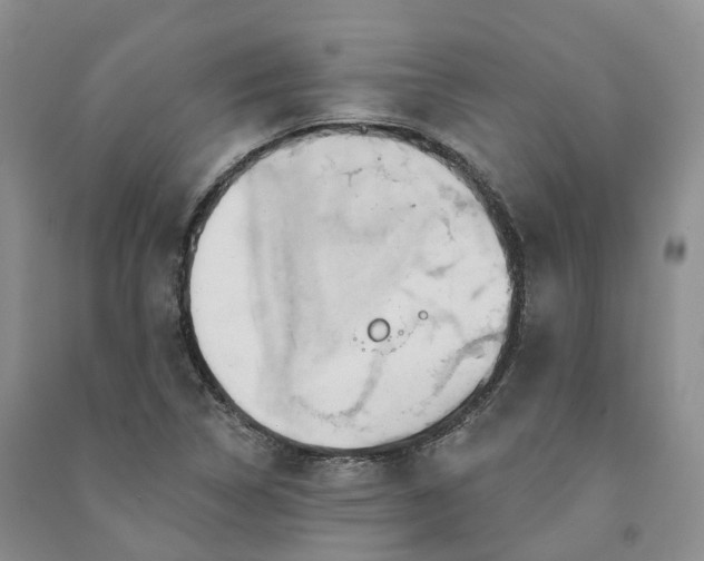 X0000090981314200708161848