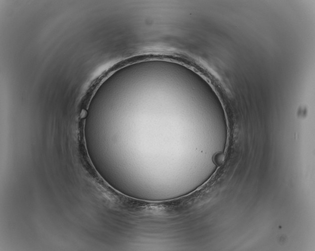 X0000090981315200708161848
