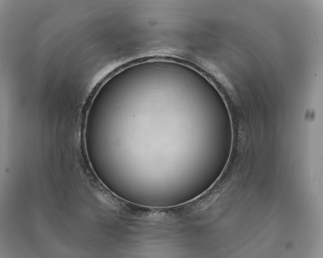 X0000090981316200708161848