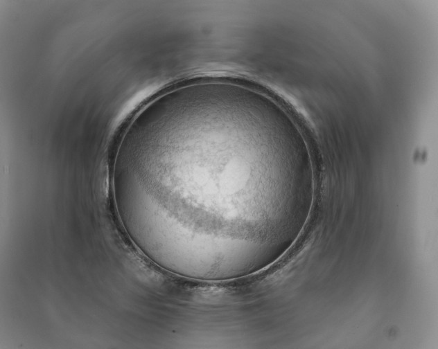 X0000090981317200708161848