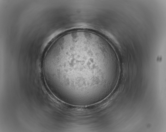 X0000090981318200708161848