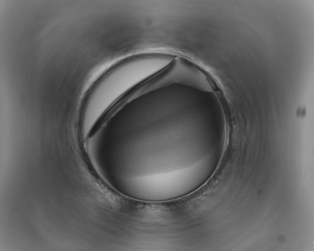 X0000090981319200708161848
