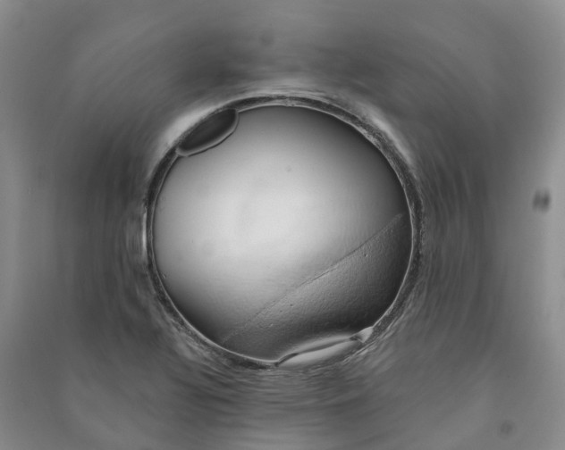 X0000090981320200708161848