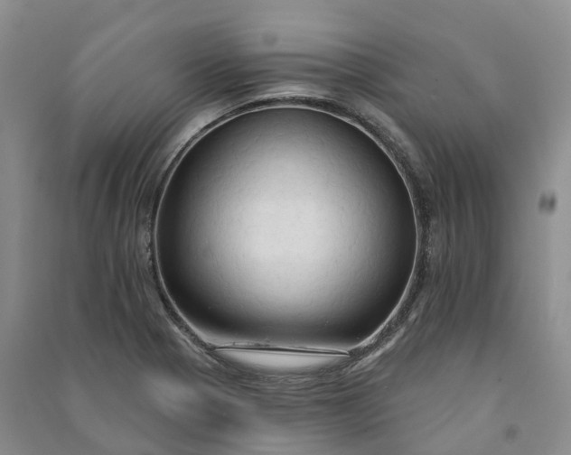 X0000090981321200708161848
