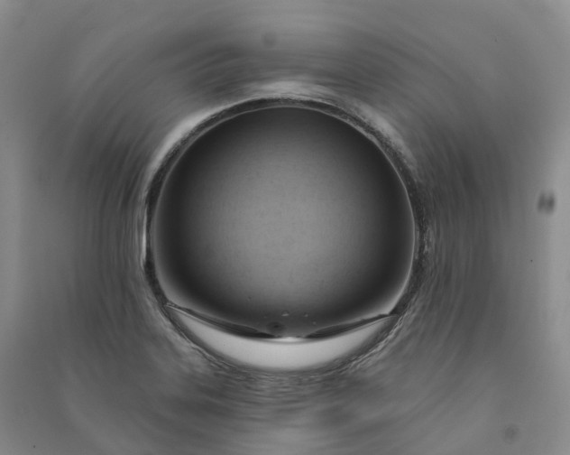 X0000090981323200708161848