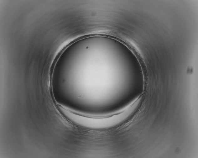 X0000090981324200708161848