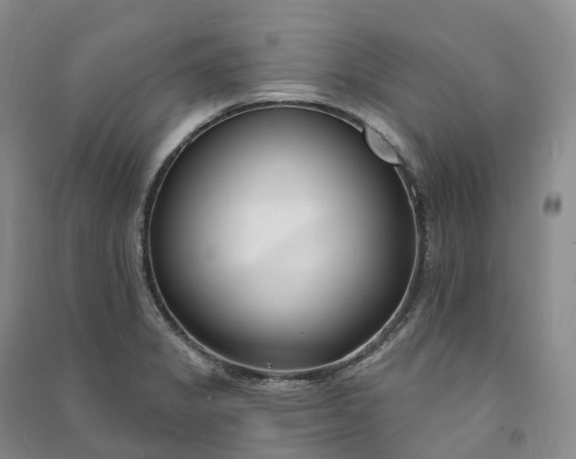 X0000090981325200708161848
