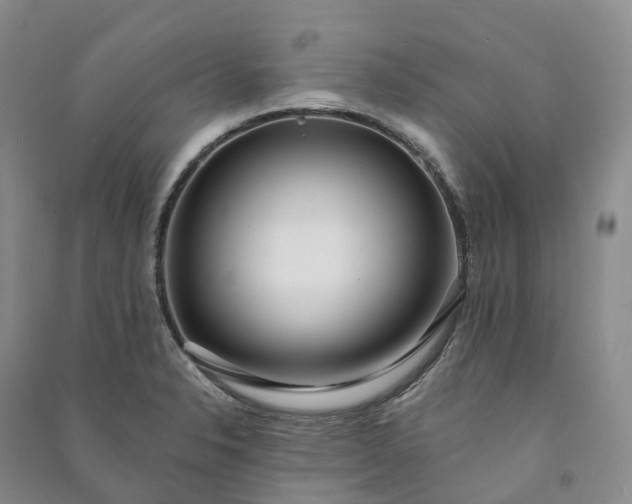 X0000090981326200708161848