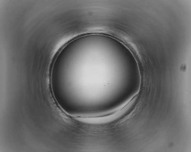 X0000090981328200708161848