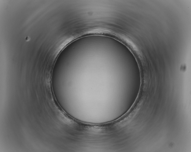 X0000090981329200708161848