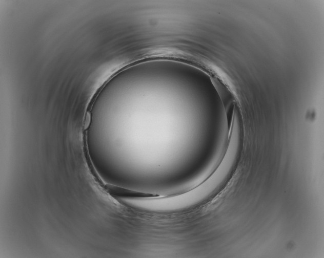 X0000090981330200708161848