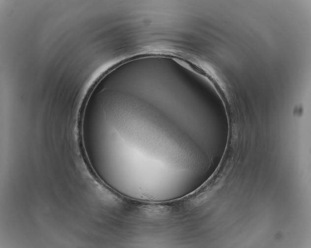 X0000090981331200708161848