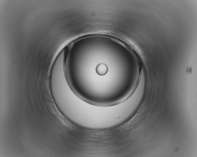 X0000090981332200708161848
